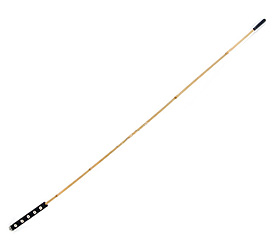 Bamboo Punishing Cane