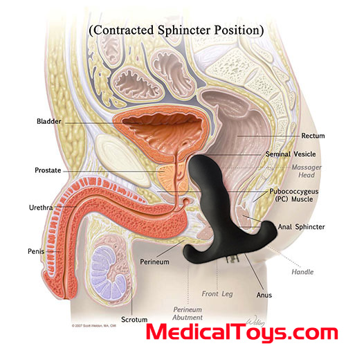 Prostate Milking Toys